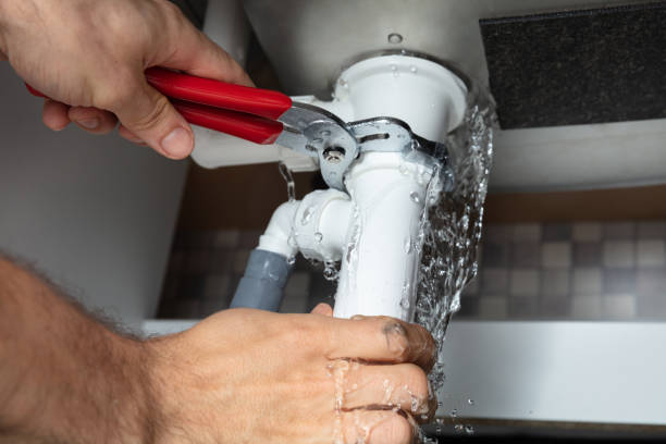 Best Water damage restoration process  in Mcmurray, PA