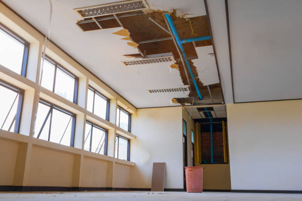 Best Mold removal after water damage  in Mcmurray, PA