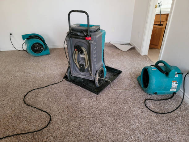 Best Flooded house restoration  in Mcmurray, PA