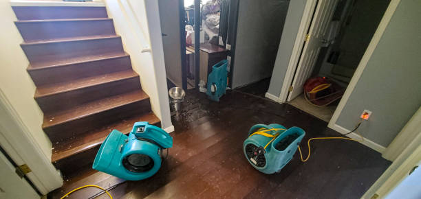 Best Water damage restoration near me  in Mcmurray, PA