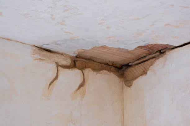 Best Basement water damage restoration  in Mcmurray, PA