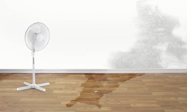 Best 24/7 water damage repair  in Mcmurray, PA