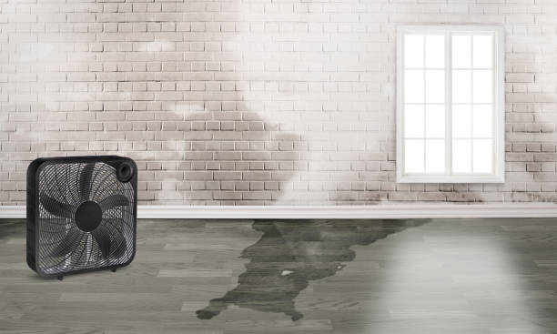 Best Flood restoration services  in Mcmurray, PA