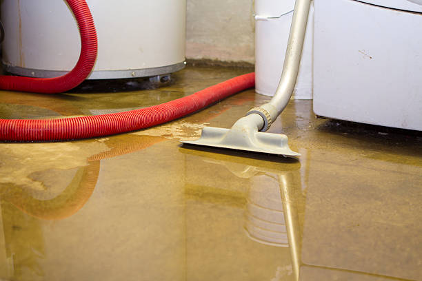 Best Sewage cleanup and water damage restoration  in Mcmurray, PA
