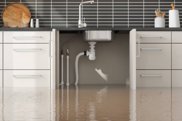 Best Ceiling water damage repair  in Mcmurray, PA