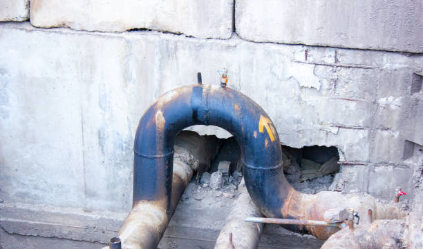 Best Professional water damage repair  in Mcmurray, PA