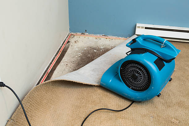Best Emergency water damage restoration  in Mcmurray, PA